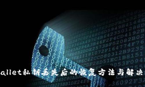tpWallet私钥丢失后的恢复方法与解决方案