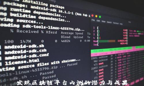 
发现区块链平台内测的潜力与成果