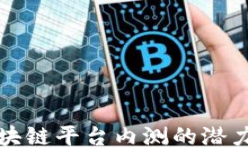
发现区块链平台内测的潜力与成果