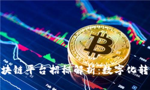 安徽政务区块链平台招标解析：数字化转型的新机遇