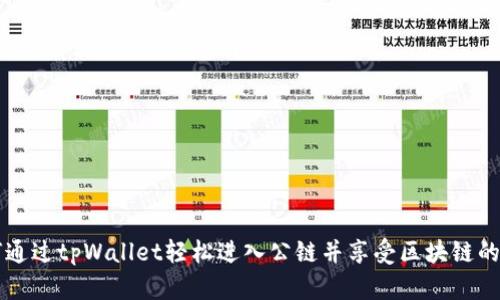 如何通过tpWallet轻松进入公链并享受区块链的魅力
