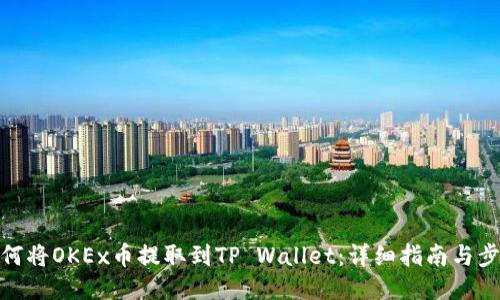 如何将OKEx币提取到TP Wallet：详细指南与步骤