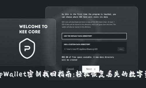 : tpWallet密钥找回指南：轻松恢复丢失的数字资产