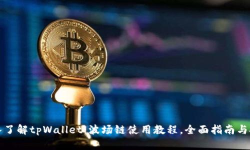 深入了解tpWallet：波场链使用教程，全面指南与技巧