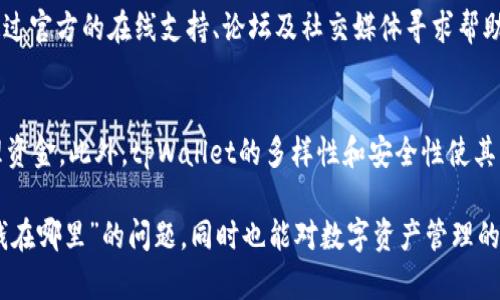 ### 钱的钱包管理系统 

在数字货币和区块链逐渐普及的今天，许多用户开始关注如何管理自己的资产。tpWallet作为一个流行的去中心化钱包，受到越来越多用户的青睐。那么，在tpWallet里面的钱究竟在哪里呢？通过以下几个方面，我们将详细探讨这个问题。

tpWallet简介
tpWallet是一个去中心化的钱包，允许用户存储、发送和接收多种数字资产。与传统银行账户不同，tpWallet将资产完全掌握在用户手中。这一特点不仅保证了资金的安全性，也赋予了用户更大的自由度与灵活性。

私钥与地址
在tpWallet中，用户的资金实际上是通过“私钥”来管理的。私钥是一串独特的代码，持有这个私钥的人就拥有相应的资产。每个的钱包地址都是由这个私钥生成的。当你转账时，其实是通过私钥对资产进行管理。

如何查看余额
在tpWallet中查看余额非常简单。用户只需打开wallet应用，就能看到所有支持的资产余额。这里展示的余额是实时更新的，用户可以随时监控自己的资金状况。

资金的去向
当用户发送资产时，资金会通过区块链网络流转。tpWallet会记录每一次的交易，这被称为区块。在区块链上，所有的交易都是公开透明的。因此，用户可以随时通过区块链浏览器查询资金的去向、来源与状态。

资产安全性
tpWallet采用了多种安全措施来保护用户的资产。例如，通过加密技术来确保私钥的安全。而且，用户还可以选择设置强密码、启用双重认证等方式，进一步提升钱包的安全性。但用户也要对自己的私钥负责。一旦私钥丢失，资产将会永远无法恢复。

提现与存入
用户想要在tpWallet中存入或提现，可以通过多个步骤完成。对于提现，用户只需在钱包中选择提现选项，输入金额和接收地址，确认后即可。而存入则通常需要在特定的交易平台进行，用户可以通过购买数字货币的方式把资金存入wpWallet。

交易费用
在进行任何交易时，用户都需要支付一定的交易费用。这些费用通常以网络手续费形式存在，具体金额取决于网络的拥堵情况。在tpWallet中，用户可以自定义交易费用，但需注意高费用能加快交易的确认速度。

数字资产的多样性
tpWallet支持多种数字资产，例如比特币、以太坊等。这意味着用户可以在一个平台上管理不同类型的资产，提高了操作的便捷性。同时，跨链交易也逐渐成为可能，用户可以在不同数字资产之间自由转换，充分发挥资产的流动性。

客户支持
对于新用户而言，在使用tpWallet的过程中，可能会遇到困难。这时，tpWallet提供了完善的客户支持系统，用户可以通过官方的在线支持、论坛及社交媒体寻求帮助。

总结
在tpWallet里面的钱，实际上就是通过区块链技术进行管理和流转的数字资产。用户需要了解私钥的重要性，合理管理资金。此外，tpWallet的多样性和安全性使其成为一个受欢迎的选择。随着用户对数字资产管理的深入了解，相信未来会有更多人选择tpWallet来管理他们的资产。

这篇文章旨在让读者全面理解tpWallet及其内部资金的管理。希望通过这篇文章，读者不仅能解答“tpWallet里面的钱在哪里”的问题，同时也能对数字资产管理的相关知识有更深入的认识和了解。