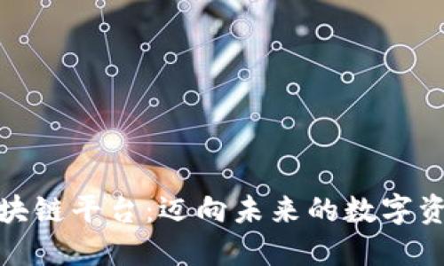 环球区块链平台：迈向未来的数字资产革命