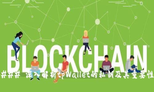### 深入解析tpWallet的私钥及其重要性