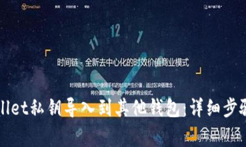 如何将tpWallet私钥导入到其他钱包：详细步骤与注意事项