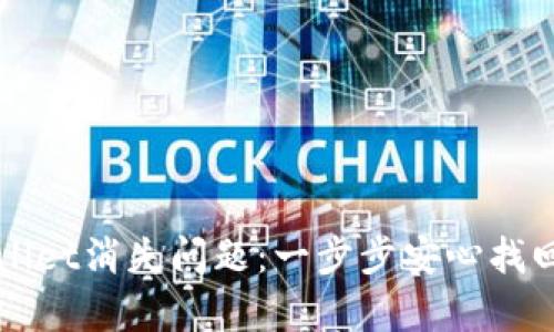 如何解决tpWallet消失问题：一步步安心找回你的数字资产