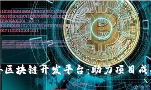 选择最佳国外区块链开发平台：助力项目成功的关键因素