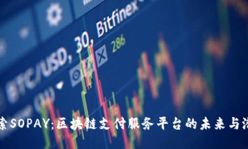 探索SOPAY：区块链支付服务平台的未来与潜力