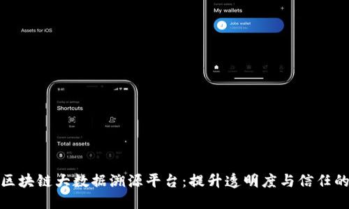 构建区块链大数据溯源平台：提升透明度与信任的关键