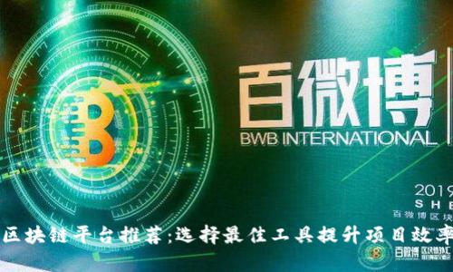 区块链平台推荐：选择最佳工具提升项目效率