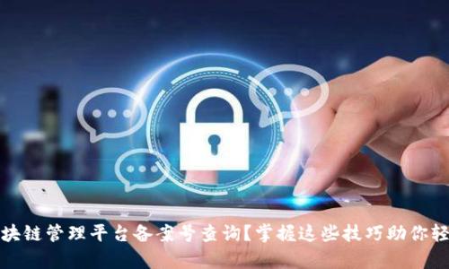 如何有效进行区块链管理平台备案号查询？掌握这些技巧助你轻松找到所需信息