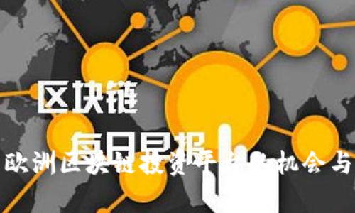 探索欧洲区块链投资平台的机会与前景