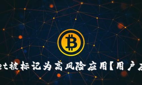 为何tpWallet被标记为高风险应用？用户应采取的措施