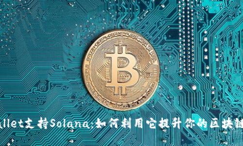 tpWallet支持Solana：如何利用它提升你的区块链体验