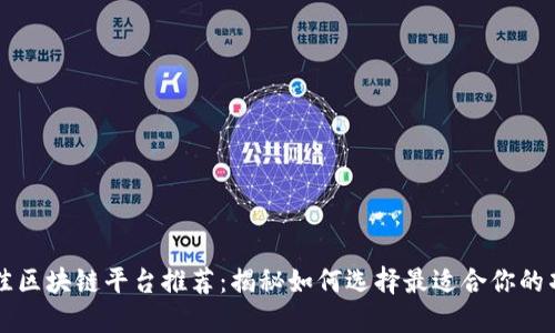 最佳区块链平台推荐：揭秘如何选择最适合你的项目