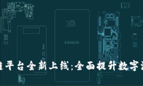 安徽省政府区块链平台全新上线：全面提升数字治理效率与透明度