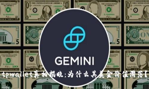tpwallet真相揭晓：为什么其美金价值滑落？