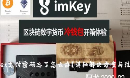 tpWallet支付密码忘了怎么办？详细解决方案与注意事项