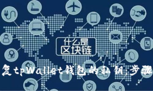 如何恢复tpWallet钱包的私钥：步骤与建议