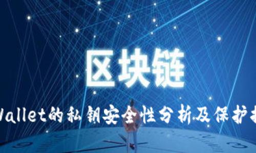 tpWallet的私钥安全性分析及保护措施