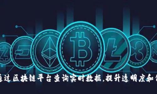 如何通过区块链平台查询实时数据，提升透明度和信任度