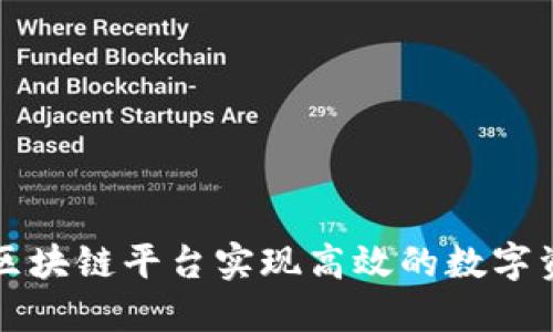 如何通过趣链科技区块链平台实现高效的数字资产管理与应用创新